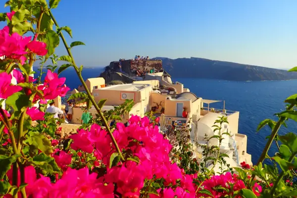 Vibrant pink bougainvillea frames a view of Santorini, Greece. People gather on ancient ruins overlooking the Aegean Sea, a perfect spot for sunset views.